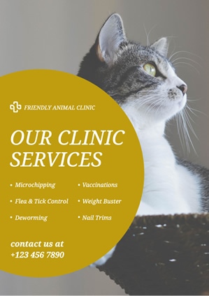 Cat Photo Animal Clinic Poster Poster Design